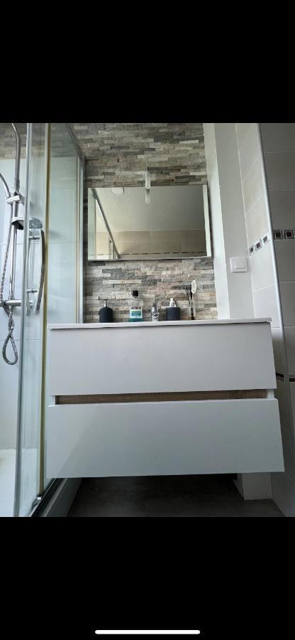 Beau T3 60M2 Tres Cosy Proche Du Centre Ville ナント エクステリア 写真